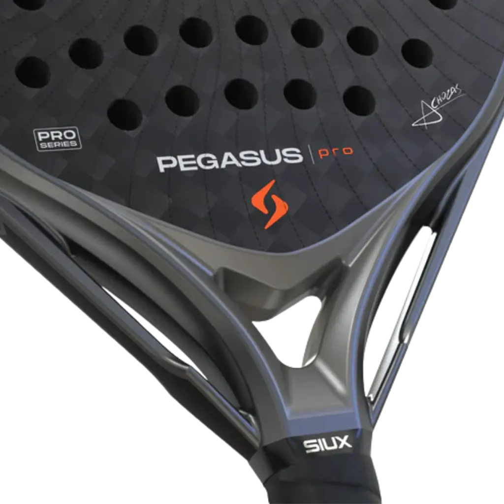 Raquette de padel Siux Pegasus Pro 4 Gris 2026