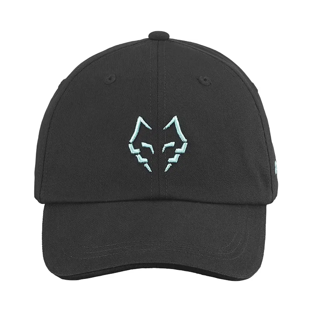 Casquette de padel Babolat Perf Lebron Noir 2027