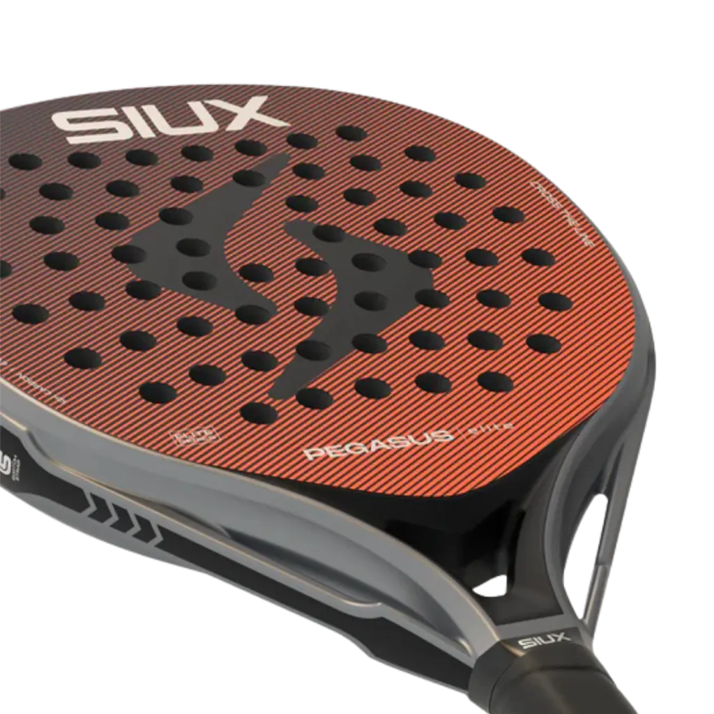 Raquette de padel Siux Pegasus Elite 4 2026