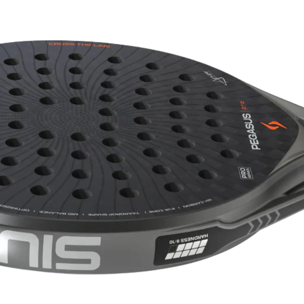 Raquette de padel Siux Pegasus Pro 4 Gris 2026